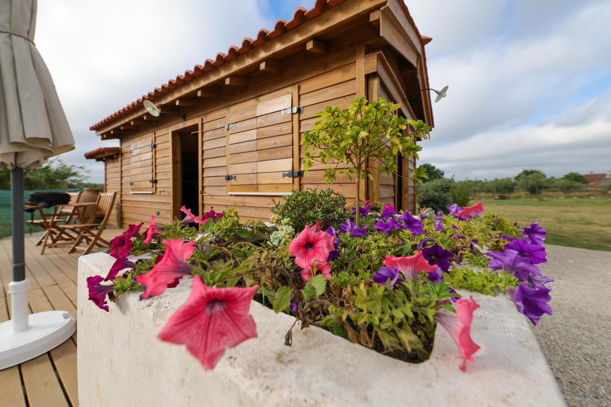 Renovated Wine Press House - With Pool Villa Porto de Mos  Room photo